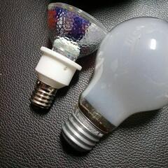 電球2個の画像
