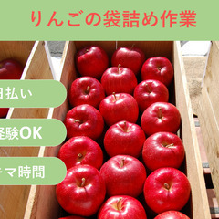 ＼日払い・1日OK！／誰でも出来る！りんごの袋詰め作業🍎