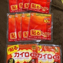カイロ2種【有効期限6月まで】