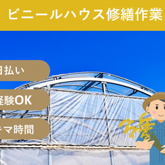 ＼日払い・1日OK！／初心者大歓迎！ハウスの修繕作業