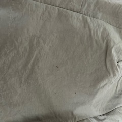 Lacoste ベージュ ショートパンツの画像