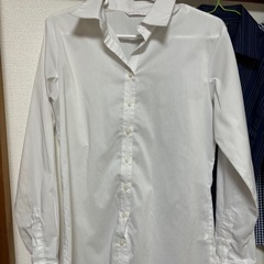 【レディース】スーツシャツ5点セットの画像