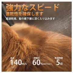 新品　
ペット用大型ドライヤー業務用の画像