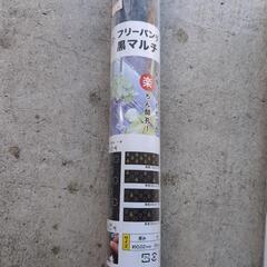 フリーパンチャー黒マルチの画像