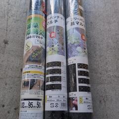 フリーパンチャー黒マルチ