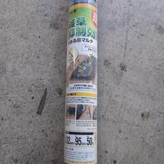 フリーパンチャー黒マルチの画像