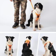 引っ張らない格納式犬用ハーネス、安全自動停止ロープ、調節可能&反射性オックスフォード 　の画像