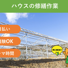 ＼日払い・1日OK！／誰でも出来る！ビニールハウス修繕作業