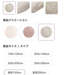 Francfranc　カステ ラウンド ラグ Φ1500 シルバーの画像