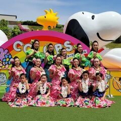 町田市　新規オープンフラダンス　★1期生募集　体験会★（月2回　土曜日　13時45分～）の画像