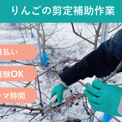 ＼日払い・1日OK！／教え上手な園主さんがいるから未経験歓迎！り...
