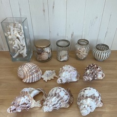 フラワーベース　花瓶　貝殻　サンゴ