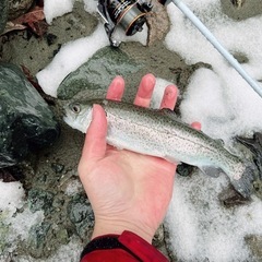 最近釣り始めました！
