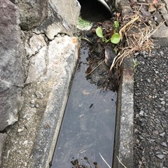 側溝清掃⭐︎大分県内のお掃除のお困り事はおまかせください⭐︎