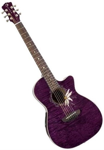 日本に 切実に探しております‼️】ジプシーローズ(GYPSY ROSE) アコギ ギター