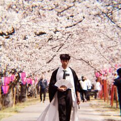 写真鳥が好きですか？ - メンバー募集