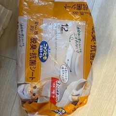 猫用抗菌シート
