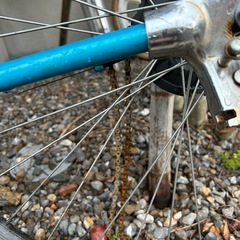 ルノー✴︎自転車の画像