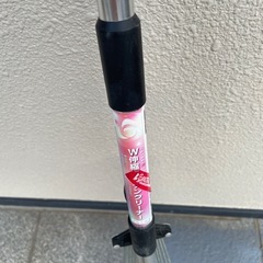 W伸縮ガーデンクリーナー
の画像