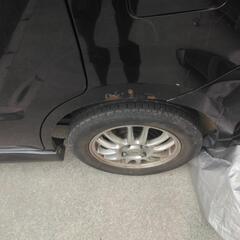 スティングレーの画像