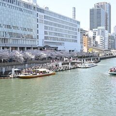 お花見大阪クルーズ🔲4/19(土)19:30出港★60名大阪BB...
