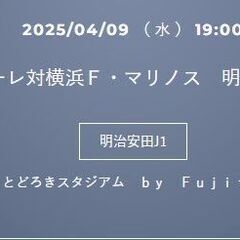 当日【ホームA自由席 2枚】4月9日水曜日 19時KO 等々力ス...