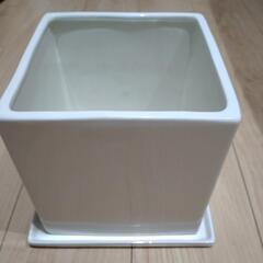 白い陶器鉢受け皿付きの画像
