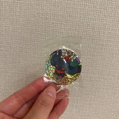 ハバタクカミのマグネット(未開封)