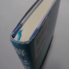 「解」は己の中にあり 「ブラザー小池利和」の経営哲学60
高井尚之【著】の画像