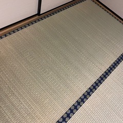 ニトリ井草カーペット【7日・8日限定】