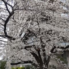 春の厳選ワイン揃いました