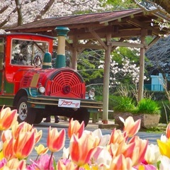 🌸浜松動物園、フラワーパークにいこう(•∋•)🌸