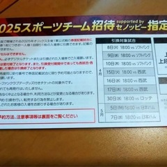 野球観戦チケット