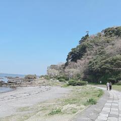 女性限定（男性募集終了）バイク人生に彩りを⋯