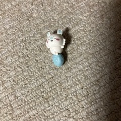 モモンガ①