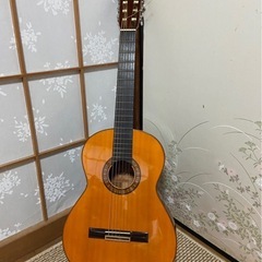 MORRIS ギター M-15