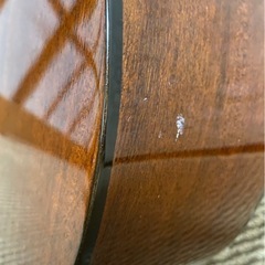 MORRIS ギター M-15の画像