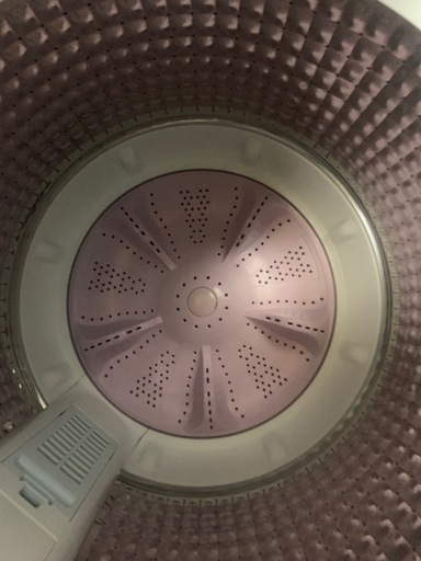 Haier 洗濯機