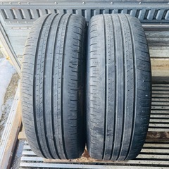 バリ山　DUNLOP ダンロップ　PT30 225/60R18 ...