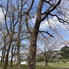 デイキャンプ😊‼︎ − 熊本県