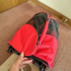 ペットキャリーの画像