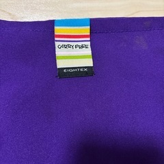 EIGHTEX パープル チェアベルトの画像