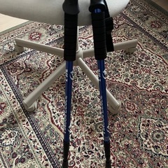 ハイキングポール