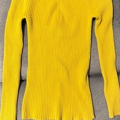 ラグナムーンの画像