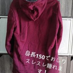 裏起毛パーカーの画像