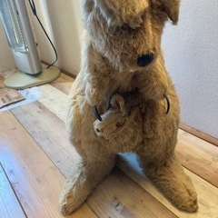 カンガルー ぬいぐるみ