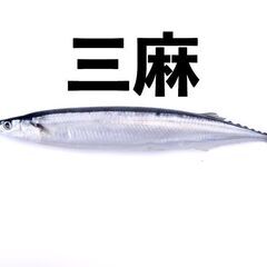 SERFAS　自転車ライト　USL-450 充電式　ブラック　マ...
