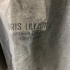 K2504-055 配送不可　mily bilet シアートップス 半袖 グレー シルバー サイズ:Ｌ ほつれ有りの画像