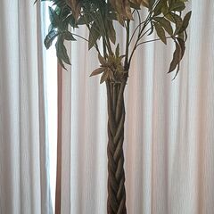  インテリア観葉植物 フェイクパキラ