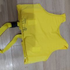 子供用 フローティングベストの画像
